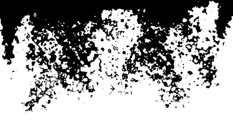 Black Ink Bloom Spreading Outward with Fluid Drops and Stain Flow 4K Stock Footage 345268320