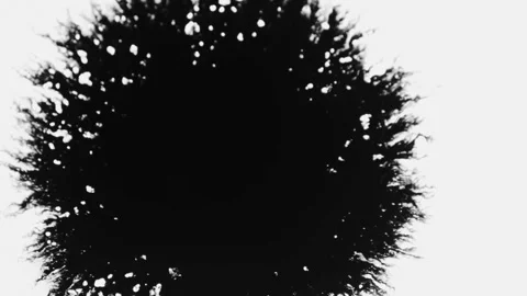 Black ink blooming and spreading on white paper background Stock Footage 329667697
