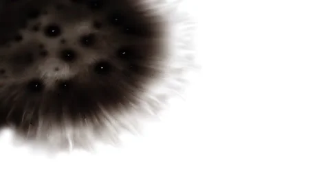 Black ink blot spreading on a white screen, Black ink blot spreading Vídeo Stock 147702337