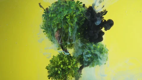 Black ink cloud falls onto bright green tree. Abstract background Stock Footage 129247086