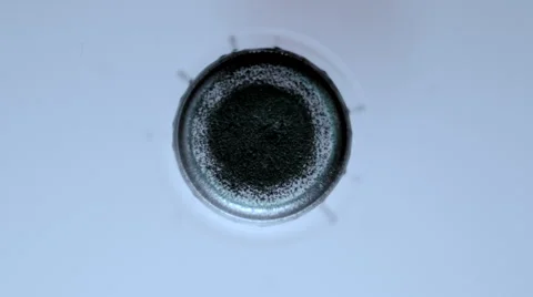 Black ink drop falling in water Видео 46667187
