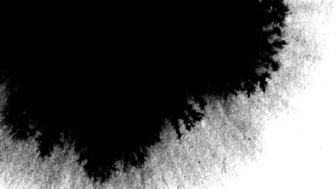 Black Ink Drop  Stock Footage 218594443