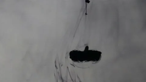 Black ink drop spread in water and makes beautiful pattern in water Stock Footage 153303757