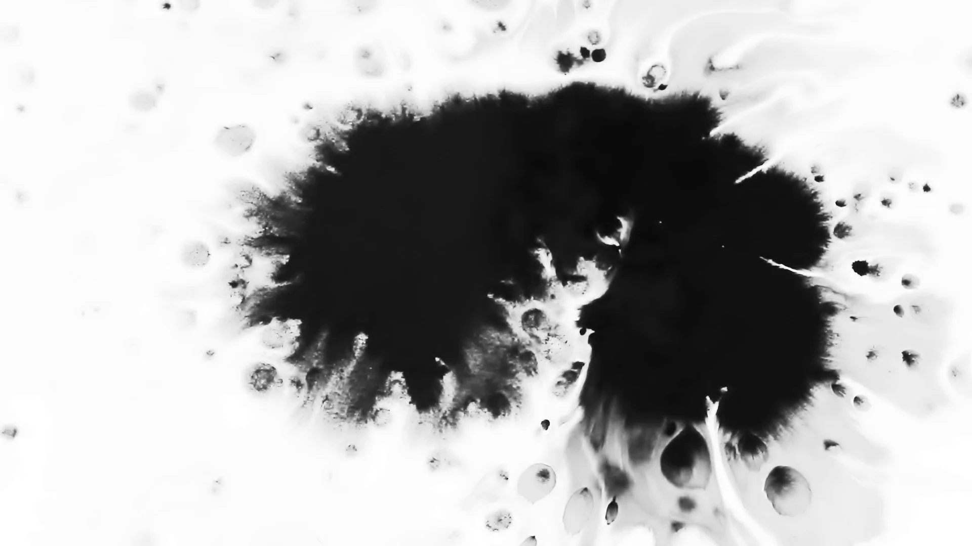 Black Ink Drop on White Background 43 | Stock Video | Pond5