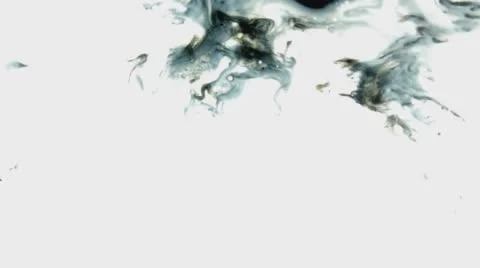 Black Ink Drop On White Background  Stock Footage 58763355