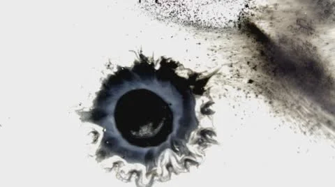 Black Ink Drop On White Background  Stock Footage 58763369