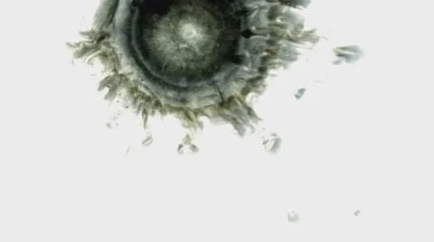 Black Ink Drop On White Background  Stock Footage 58763382