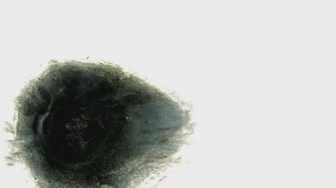 Black Ink Drop On White Background  Stock Footage 58763417