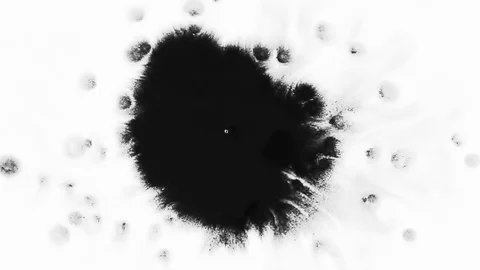 Black Ink Drop on White Background 39 Stock Footage 87541479