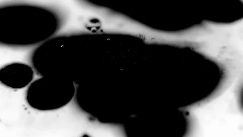 Black Ink drops Absorbing Into White Background Video stock 72213567