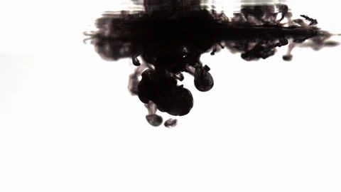 Black Ink Drops Dissolve in White Fluid Stock Footage 104121366