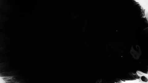 Black Ink Drops Stock Footage 74651838