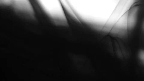 Black Ink Drops Stock Footage 74651892