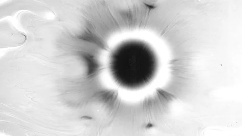 Black Ink Drops Stock Footage 74652423