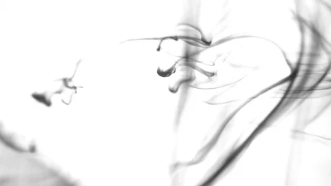 Black Ink Drops Stock Footage 74653688