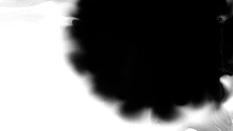 Black Ink Drops Stock Footage 74653766