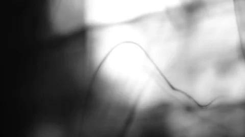 Black Ink Drops Stock Footage 74654011