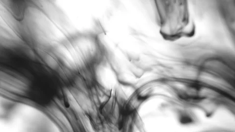 Black Ink Drops Stock Footage 74654486