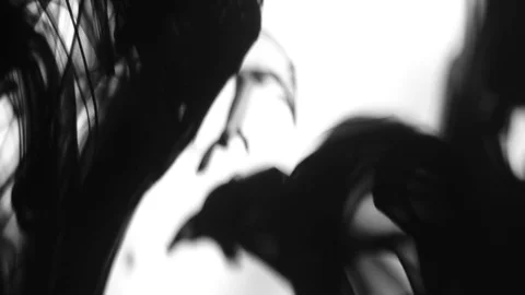 Black Ink Drops Stock Footage 74654510
