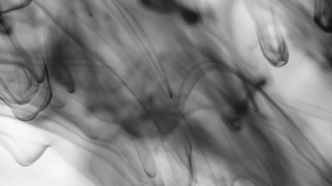 Black Ink Drops Stock Footage 74654629