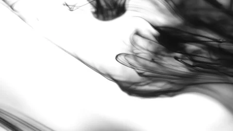 Black Ink Drops Stock Footage 74654793