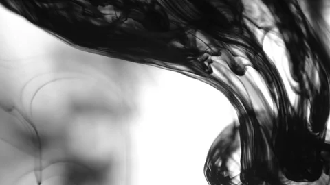 Black Ink Drops Stock Footage 74654832
