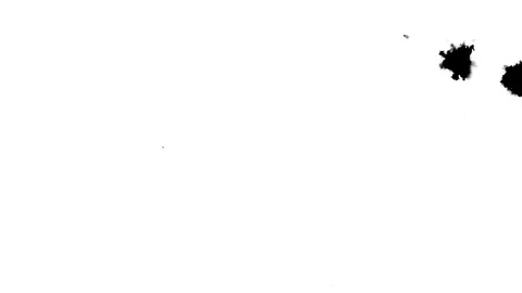 Black ink drops splatters spilling on white background Stock Footage 125462475
