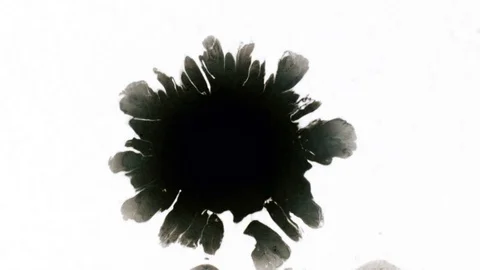 Black ink drops splatters spilling on white background Video stock 125462559
