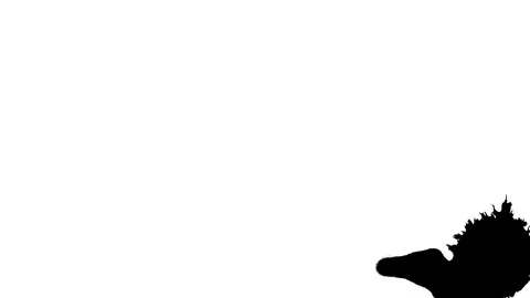 Black ink drops splatters spilling on white background Video stock 125463281