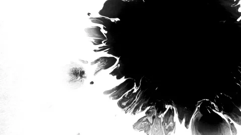 Black ink drops splatters spilling on white background Stock Footage 125471568
