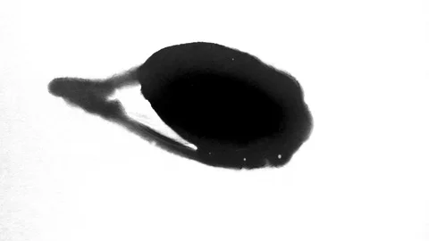 Black ink drops splatters spilling on white background 動画素材 125471625