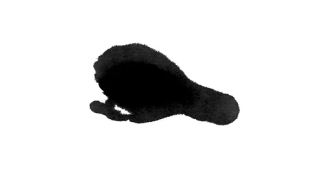 Black ink drops splatters spilling on white background Stock Footage 125472889