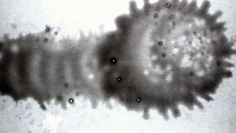 Black ink drops splatters spilling on white background Stock Footage 125472961