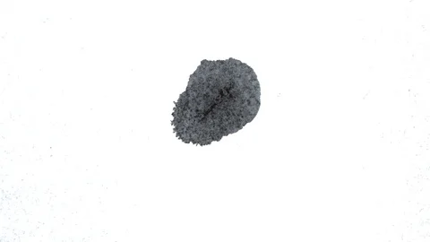 Black ink drops splatters spilling on white background 動画素材 125473726