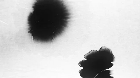 Black ink drops splatters spilling on white background Stock Footage 125474019