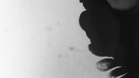 Black ink drops splatters spilling on white background Stock Footage 125474781