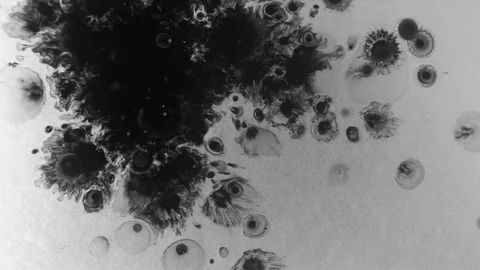 Black ink drops splatters spilling on white background Stock Footage 125474875