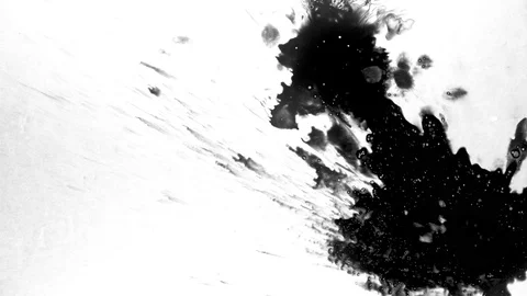 Black ink drops splatters spilling on white background Stock Footage 125475164