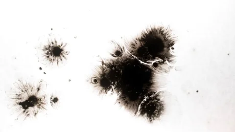 Black ink drops splatters spilling on white background Video stock 125476116