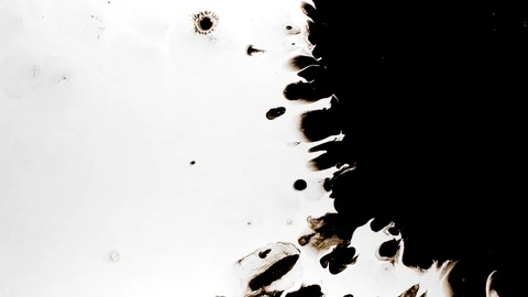 Black ink drops splatters spilling on white background Stock Footage 125476161