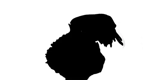 Black ink drops splatters spilling on white background 動画素材 125476414