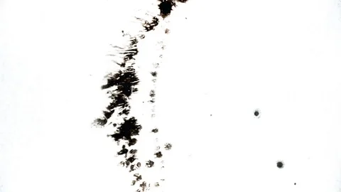 Black ink drops splatters spilling on white background Video stock 125476738