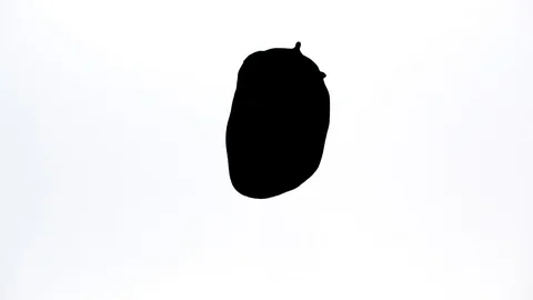 Black ink drops splatters spilling on white background Stock Footage 125476942