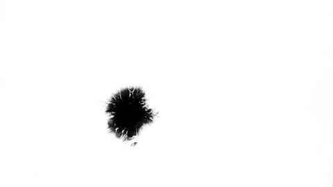 Black ink drops splatters spilling on white background Stock Footage 125477133