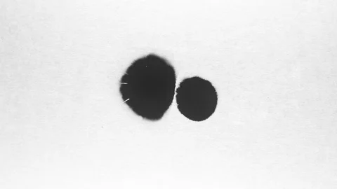 Black ink drops splatters spilling on white background Video stock 125477271