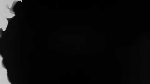Black ink drops splatters spilling on white background Stock Footage 125477547