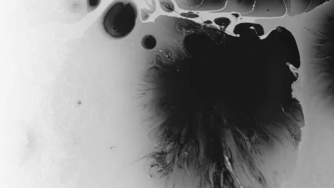 Black ink drops splatters spilling on white background Stock Footage 125477612