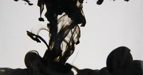 Black ink flow dropping in water ink background on white Stock Footage 218644871