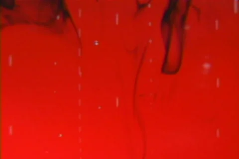 Black Ink in Red Liquid Stock Footage 197835