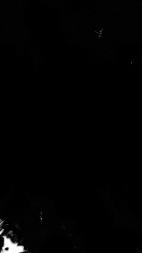 Black ink spills onto white. 動画素材 254053966